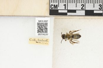 Media type: image;   Entomology 774137 Aspect: Labels